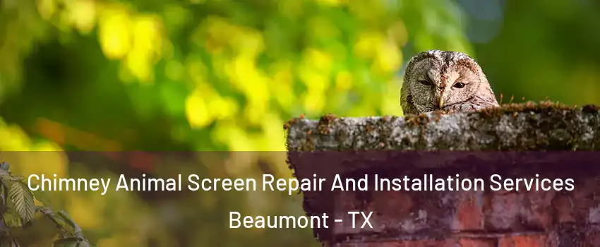  Chimney Animal Screen Repair And Installation Services Beaumont - TX