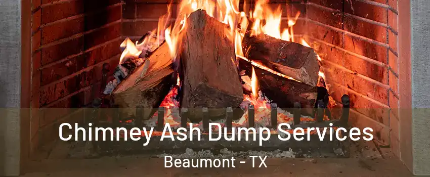  Chimney Ash Dump Services Beaumont - TX