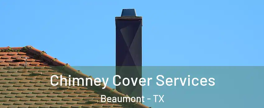  Chimney Cover Services Beaumont - TX
