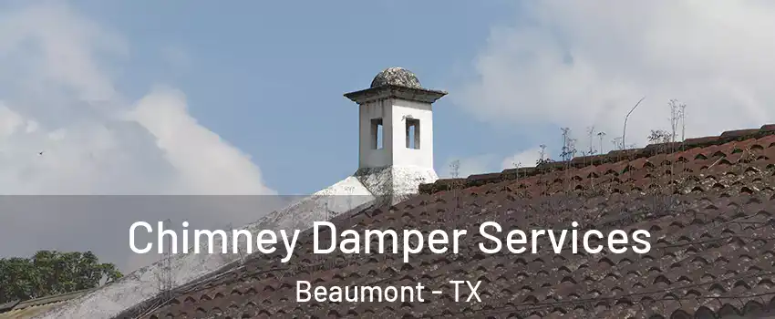  Chimney Damper Services Beaumont - TX