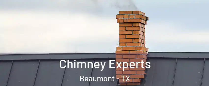  Chimney Experts Beaumont - TX