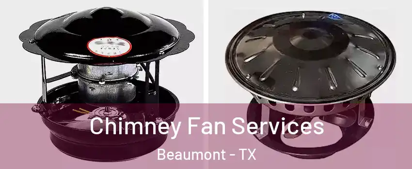  Chimney Fan Services Beaumont - TX