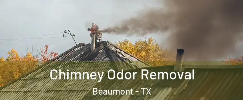  Chimney Odor Removal Beaumont - TX