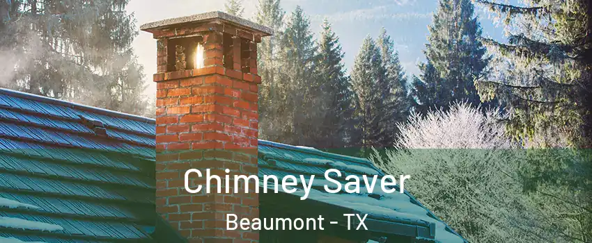  Chimney Saver Beaumont - TX