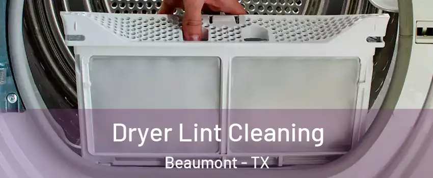  Dryer Lint Cleaning Beaumont - TX