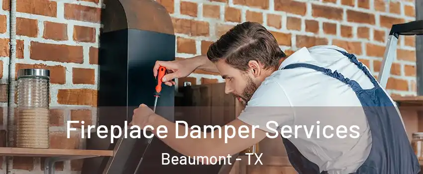  Fireplace Damper Services Beaumont - TX