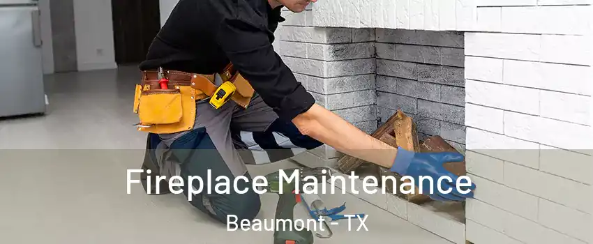  Fireplace Maintenance Beaumont - TX