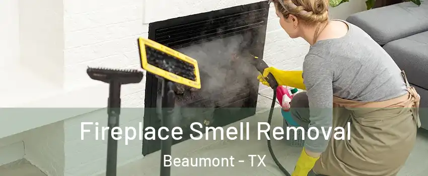 Fireplace Smell Removal Beaumont - TX
