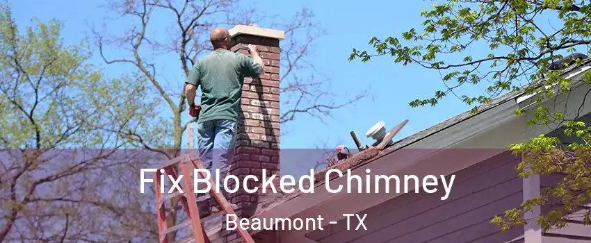  Fix Blocked Chimney Beaumont - TX