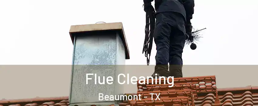  Flue Cleaning Beaumont - TX