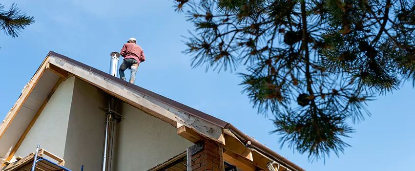 Birds Removal Contractors from Chimney in Beaumont, TX