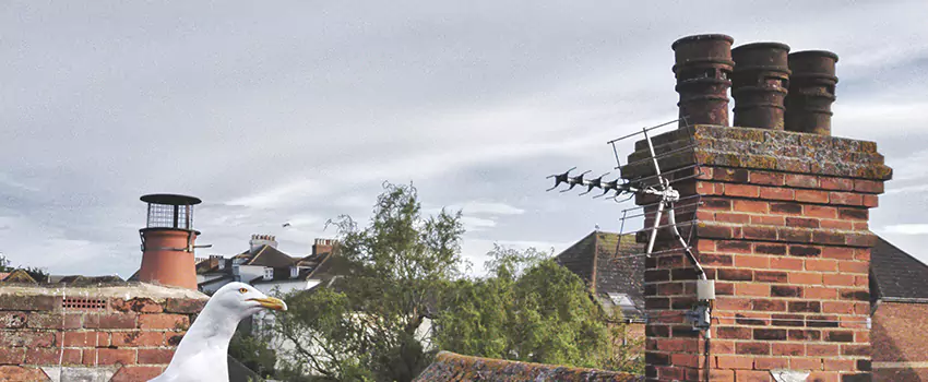 Chimney Cleaning And Restoration in Beaumont, Texas