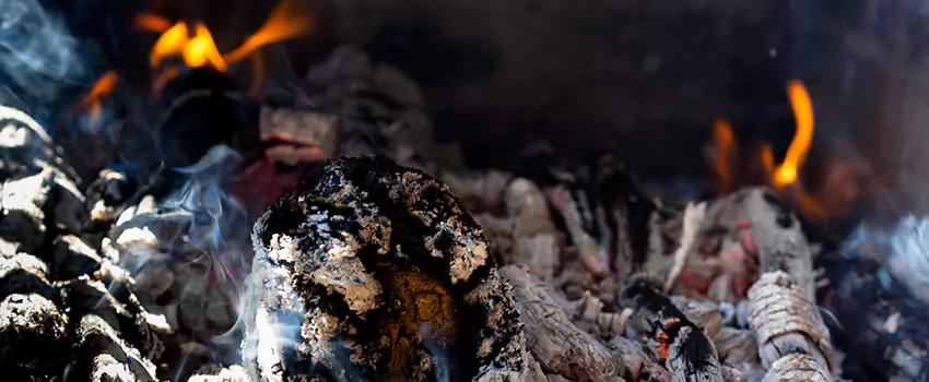 Creosote Removal Experts in Beaumont, TX