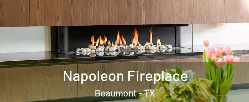 Napoleon Fireplace Beaumont - TX
