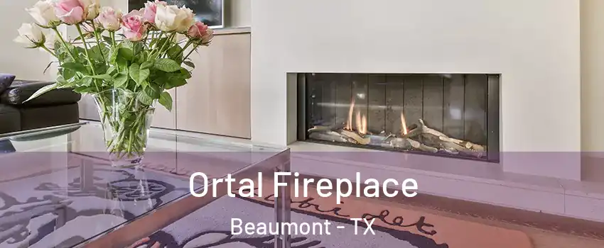  Ortal Fireplace Beaumont - TX